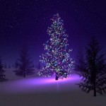 beautiful-christmas-tree (Αντιγραφή)